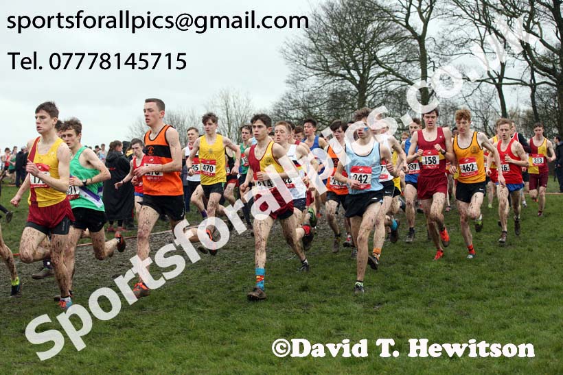 Senior boys 2019 New Balance English Schools Cross Country Champs, Temple Newsam, Leeds. Photo:  David T. Hewitson/Sports for All Pics